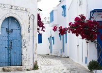 Extension - Séjour de charme à Zaghouan - Tunisie