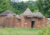 Safari Regroupé - Bénin