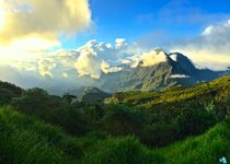 Safari Coup de coeur - La Réunion