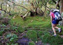 Extension Randonnée dans les Trois Cirques - La Réunion