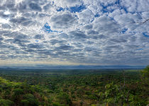 Safari Regroupé - Malawi