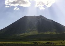 Safari Regroupé - Tanzanie