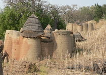 Safari Regroupé - Togo