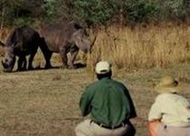 Safari Coup de Coeur  - Zimbabwe
