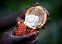 Safari Coup de coeur  - São Tomé et Príncipe (Rép.)